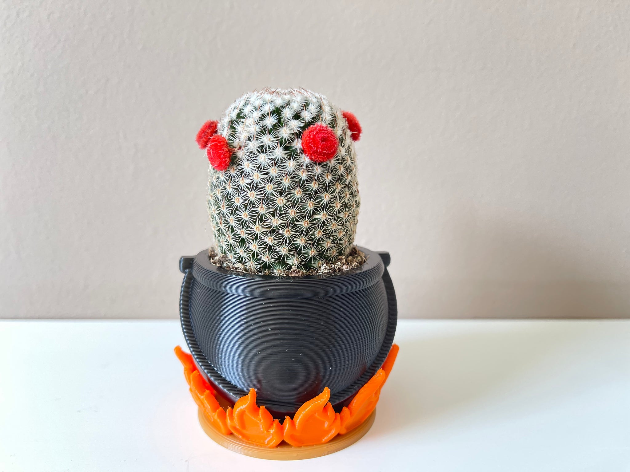 cauldron succulent Cauldron Planter. A Unique Witch Decor plant pot or wizarding world Ca –  GeekTastic55